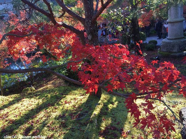 ▌京都賞楓▌必訪名所♥永觀堂♥日楓、夜楓都很迷人