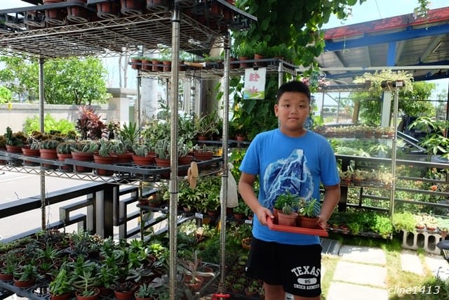 ▌宜蘭新景點▌療癒又有趣的♥多肉王國♥親手DIY盆栽好好玩! 親子DIY/親子景點/雨天備案好去處