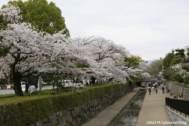 ▌京都住宿推薦▌♥一条IVY．京都週租公寓♥超省錢住宿分享(經濟實惠一晚台幣一千多,還有小廚房)