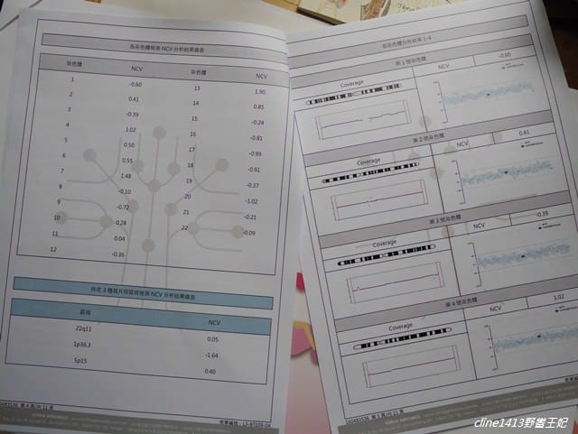 ▌四寶弟孕期紀錄▌孕期紀錄♥22週禾馨高層次超音波、11週非侵入性產前染色體檢測NIPS♥