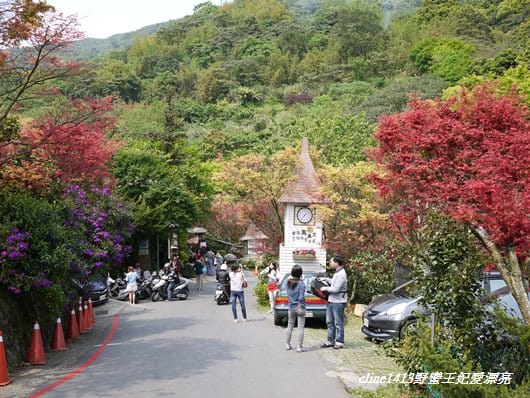 ♥ 迷人的四月楓紅 ♥ 陽明山台北奧萬大
