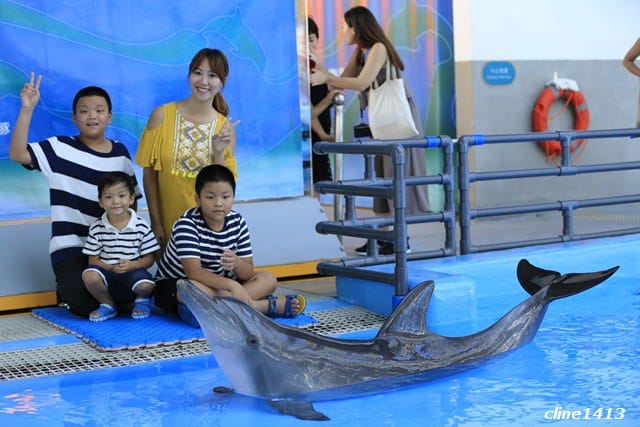 ▌2016香港親子行▌♥香港海洋公園Ocean Park Hong Kong ♥三天兩夜精彩行程分享(海洋公園夏水禮、海綿寶寶夏水派對)