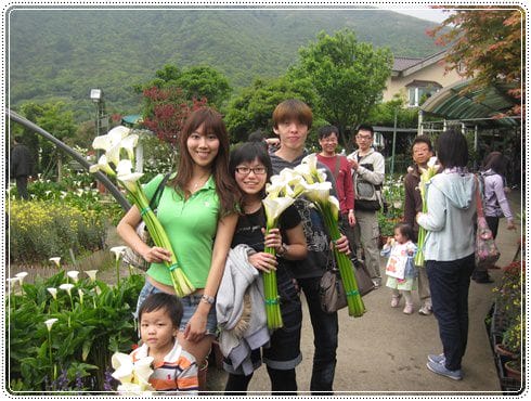 浪漫海芋季<苗榜>&海芋花賞 - 第16張圖 浪漫海芋季<苗榜>&海芋花賞
