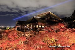 ▌日本東北賞楓▌絕美賞楓景點♥十和田湖遊船、發荷峠展望台♥此生必訪一次的美景