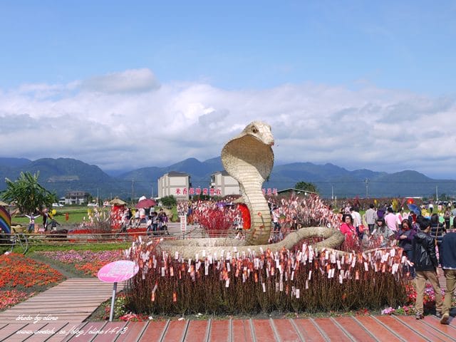 【宜蘭景點】安貴妃拜年♥ 宜蘭三星米香銀柳節♥大同鄉秘境牛鬥賞櫻 ♥