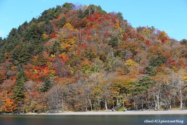 ▌日本東北賞楓▌絕美賞楓景點♥十和田湖遊船、發荷峠展望台♥此生必訪一次的美景