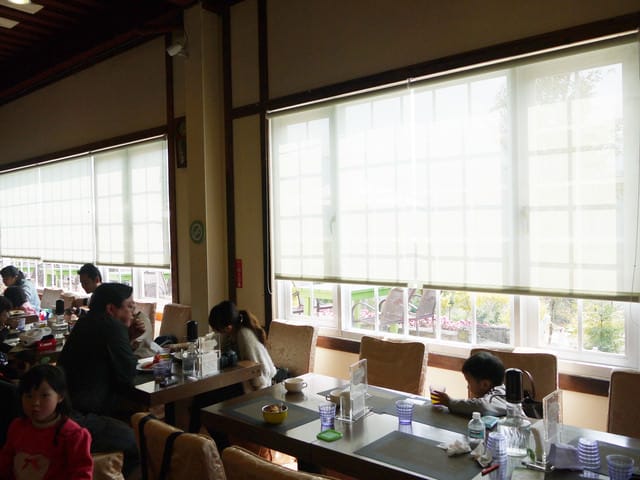 【桃園景點】看見綠光˙發現幸福綠光森林