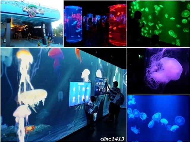 ▌2016香港親子行▌♥香港海洋公園Ocean Park Hong Kong ♥三天兩夜精彩行程分享(海洋公園夏水禮、海綿寶寶夏水派對)