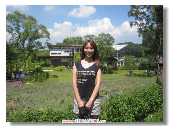 ▌苗栗景點▌仲夏*幸福薰衣草森林之旅[明德店]