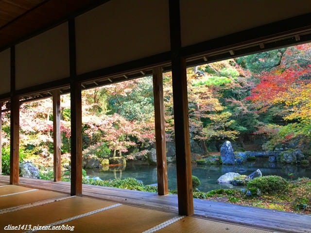 ▌京都賞楓▌♥蓮華寺♥小景卻意外讓人驚豔的楓葉美景