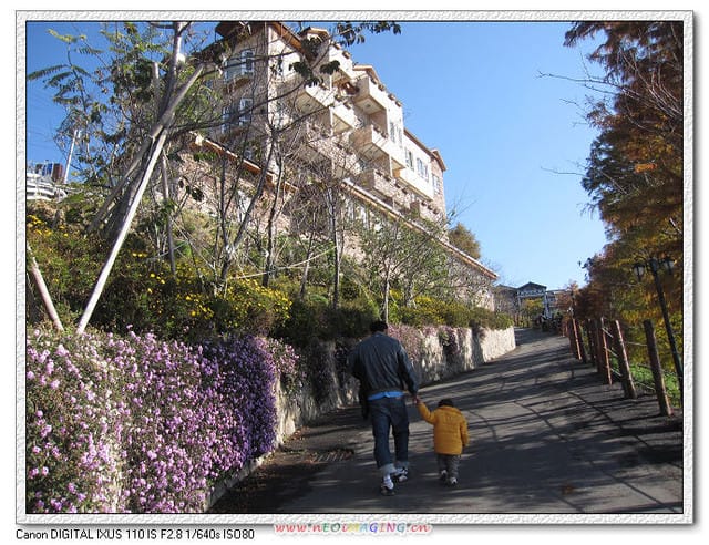 ▌清境民宿▌我在清境佛羅倫斯 DAY 2 ..亂亂拍 - 第13張圖 ▌清境民宿▌我在清境佛羅倫斯 DAY 2 ..亂亂拍