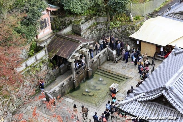 ▌清水寺 ▌京都賞楓必訪景點♥清水寺♥絕美夜楓!京阪賞楓自由行行程分享By陽光男孩