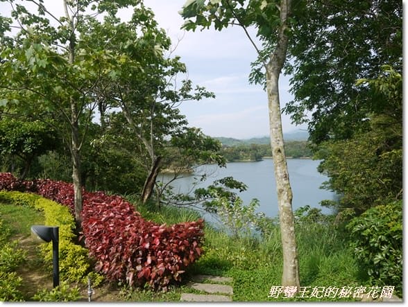 【苗栗景點】全台唯一湖中島~日新島水榭樓台島上咖啡
