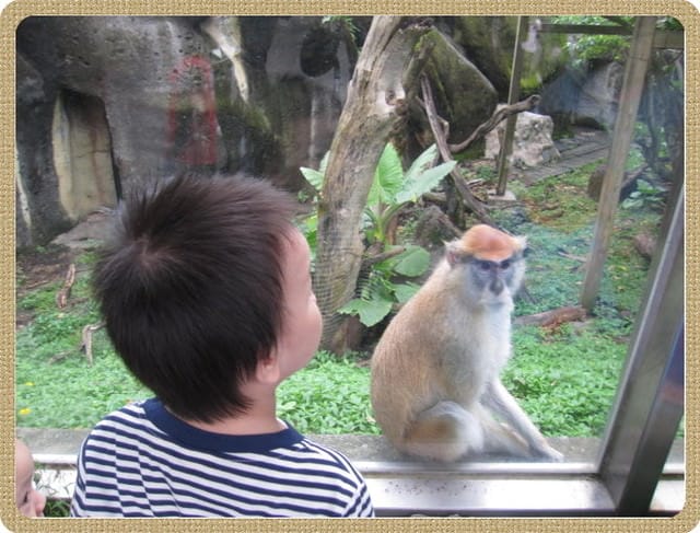 陪公子遊 動物園~甜蜜的負荷