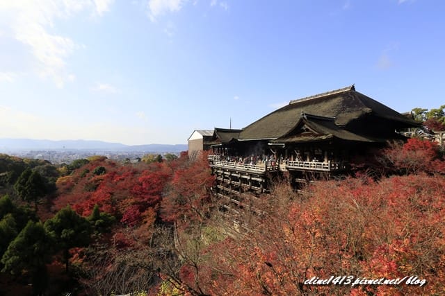▌清水寺 ▌京都賞楓必訪景點♥清水寺♥絕美夜楓!京阪賞楓自由行行程分享By陽光男孩