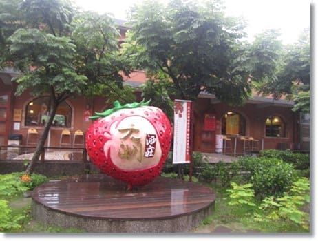 苗栗卓蘭鯉魚潭&大湖酒莊&好媳婦篇