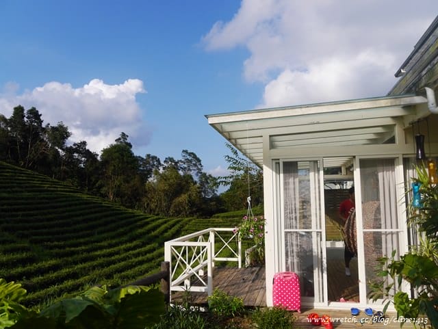 ▌宜蘭民宿▌令人難忘的茶園風光♥櫻悅景觀度假別墅♥偶像劇拍攝場景就在這!