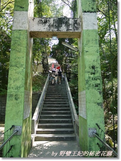 【苗栗景點】全台唯一湖中島~日新島水榭樓台島上咖啡