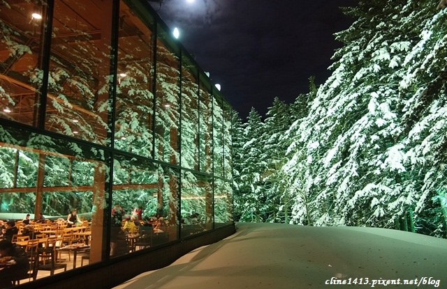 ▌北海道自由行▌超夢幻!♥星野渡假村(TOMAMU)森林餐廳♥此生必訪一次的森林玻璃屋