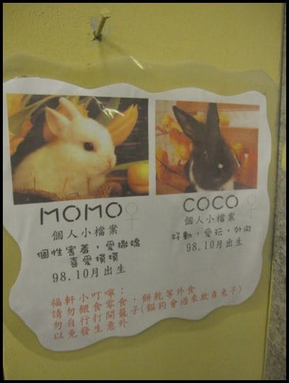 健康樂活~苗栗[福軒浪漫民宿˙養生館]