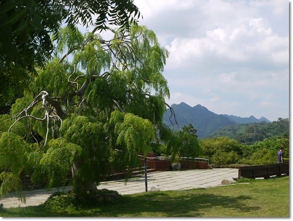 【苗栗景點】夢想的莊園~苗栗˙巧克力雲莊
