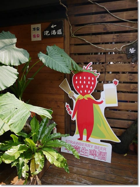 ▌苗栗景點▌苗栗賞桐好地方~清幽寧靜【湖畔花時間】