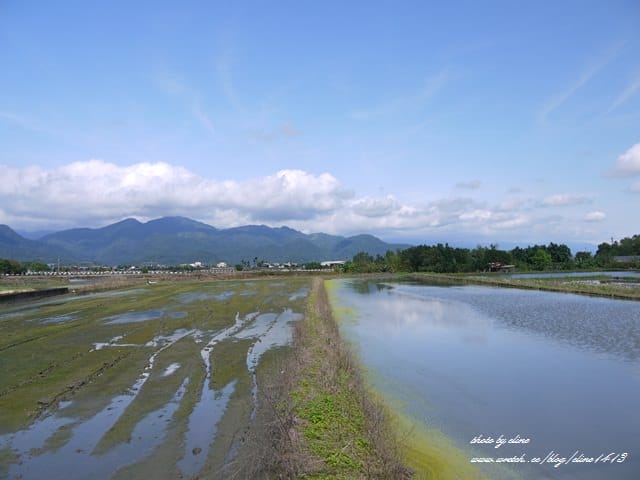 【宜蘭景點】安貴妃拜年♥ 宜蘭三星米香銀柳節♥大同鄉秘境牛鬥賞櫻 ♥