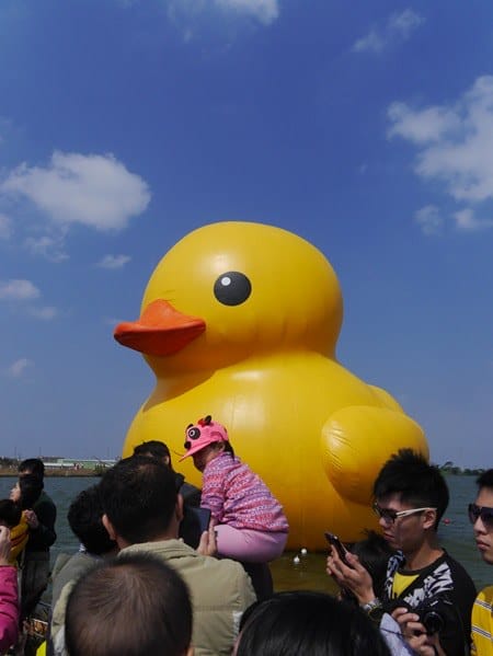 30.JPG