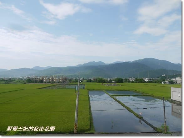 【推薦】令人難忘的田園美景~宜蘭【春不老驛站】民宿˙景觀篇