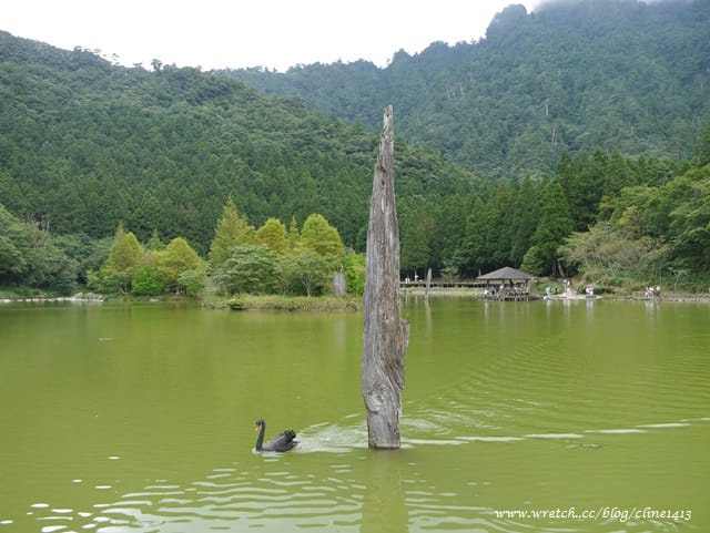 ▌宜蘭景點▌美如仙境的避暑盛地♥ 明池森林遊樂園區♥