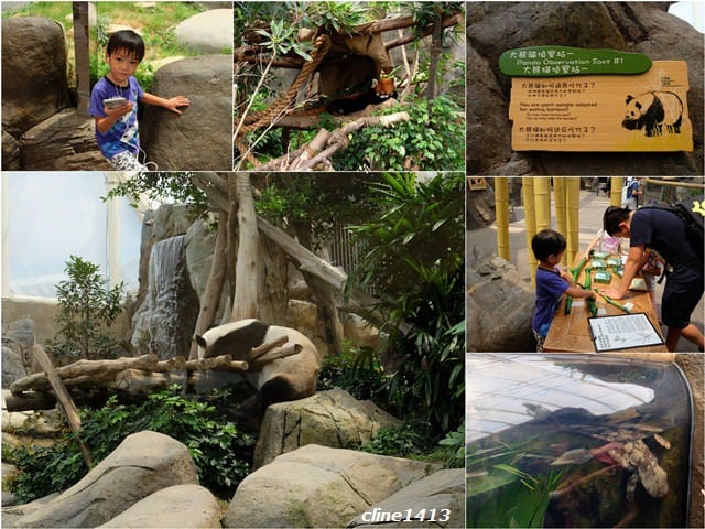▌2016香港親子行▌♥香港海洋公園Ocean Park Hong Kong ♥三天兩夜精彩行程分享(海洋公園夏水禮、海綿寶寶夏水派對)