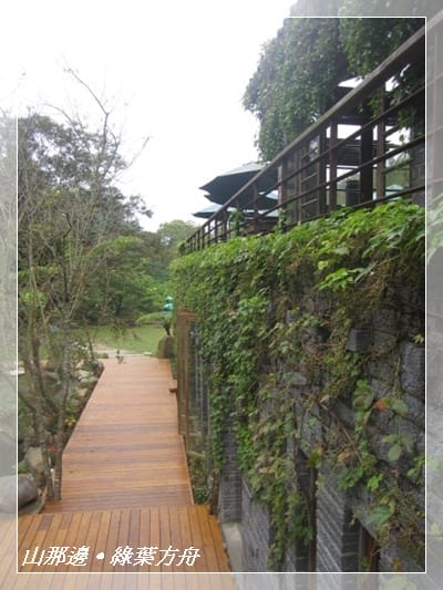 ▌苗栗景點 ▌我在森林綠海!山那邊*綠葉方舟