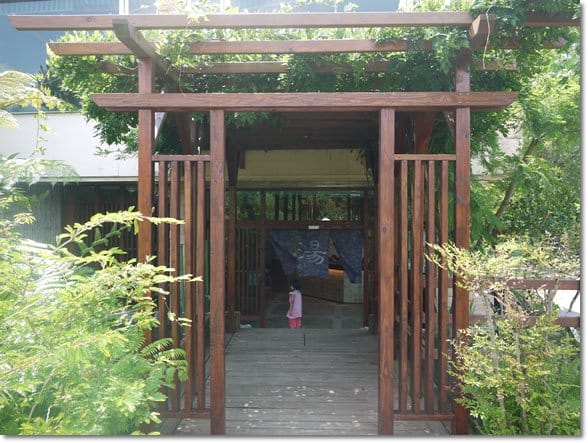 【苗栗景點】夢想的莊園~苗栗˙巧克力雲莊