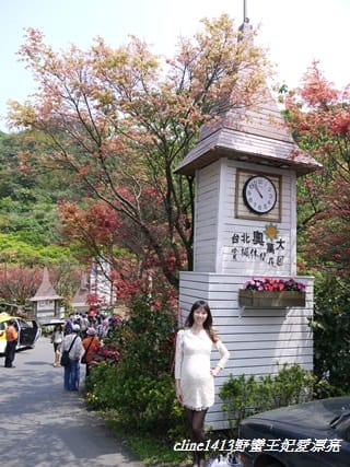 ♥ 迷人的四月楓紅 ♥ 陽明山台北奧萬大