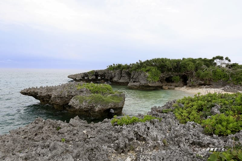 _MG_8704.JPG