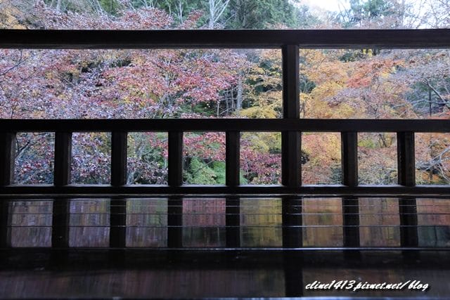 ▌京都賞楓▌京都賞楓名所♥瑠璃光院♥絕美夢幻的紅葉美景by陽光男孩