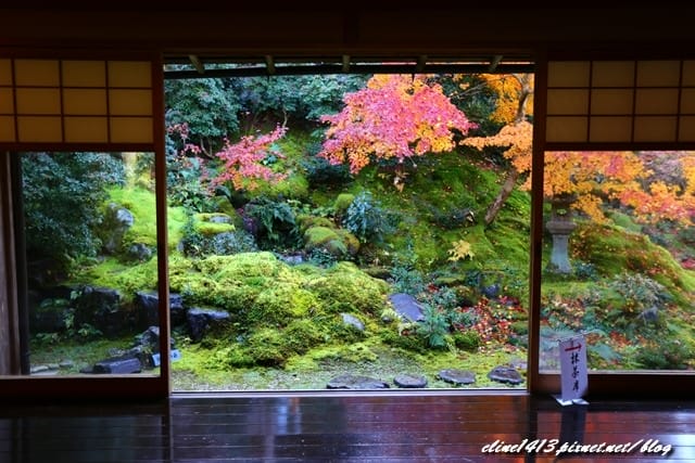 ▌京都賞楓▌京都賞楓名所♥瑠璃光院♥絕美夢幻的紅葉美景by陽光男孩