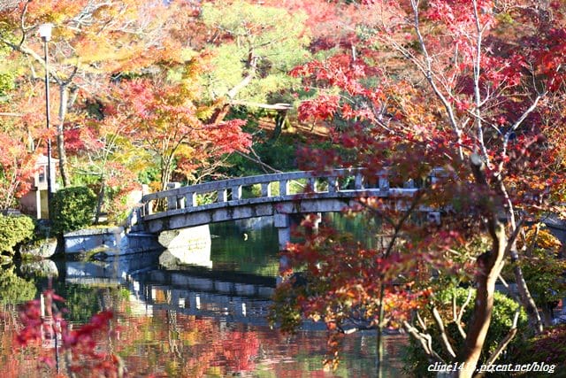 ▌京都賞楓▌必訪名所♥永觀堂♥日楓、夜楓都很迷人