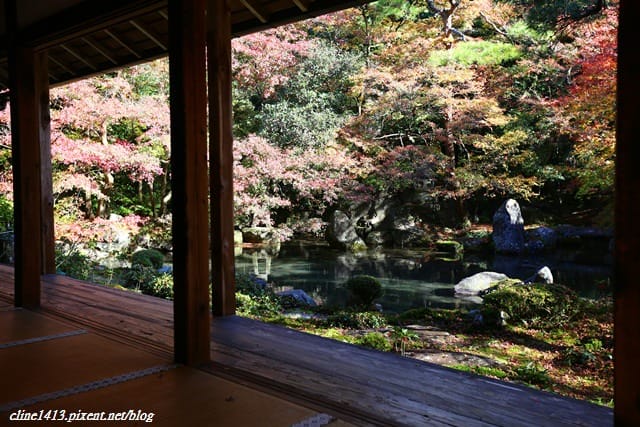 ▌京都賞楓▌♥蓮華寺♥小景卻意外讓人驚豔的楓葉美景