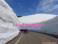 ▌名古屋自由行▌♥名古屋戰利品♥(威航機上、市區、機場伴手禮分享)