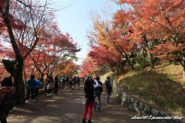▌清水寺 ▌京都賞楓必訪景點♥清水寺♥絕美夜楓!京阪賞楓自由行行程分享By陽光男孩