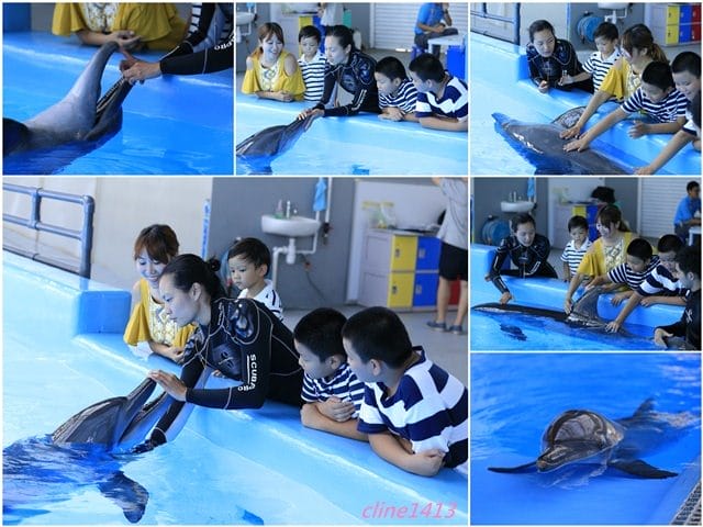 ▌2016香港親子行▌♥香港海洋公園Ocean Park Hong Kong ♥三天兩夜精彩行程分享(海洋公園夏水禮、海綿寶寶夏水派對)