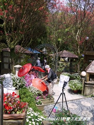 ♥ 迷人的四月楓紅 ♥ 陽明山台北奧萬大