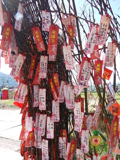 【宜蘭景點】安貴妃拜年♥ 宜蘭三星米香銀柳節♥大同鄉秘境牛鬥賞櫻 ♥
