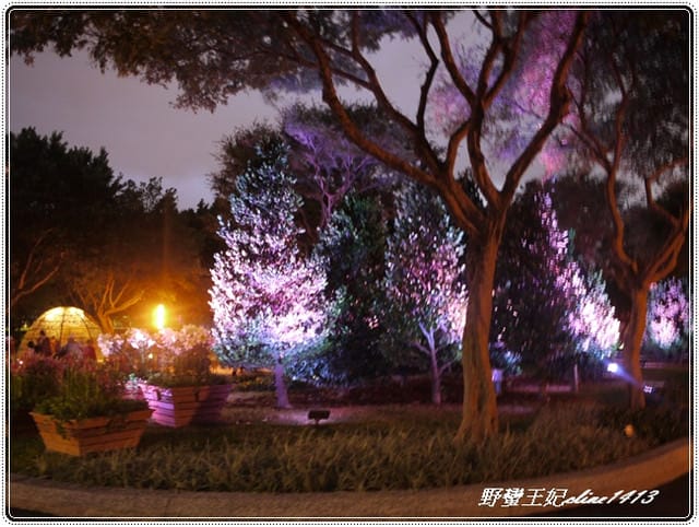 越夜越美麗˙花博走馬看花初體驗 - 第54張圖 越夜越美麗˙花博走馬看花初體驗