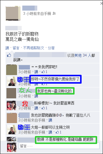 ▌三寶媽碎碎念▌男子舍監的辛酸誰人知?(我與甲蟲的愛恨情仇)