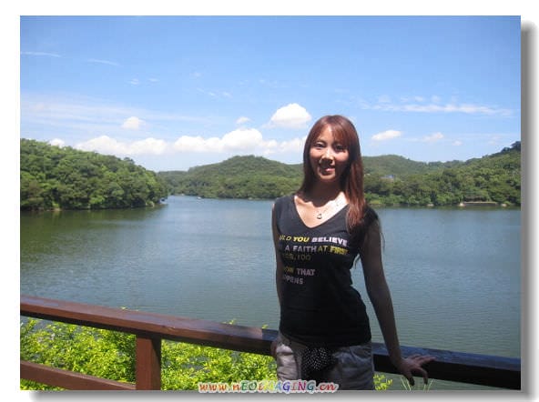 ▌苗栗景點▌仲夏*幸福薰衣草森林之旅[明德店]