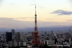 ▌日本必買▌2014♥東京成田機場♥必買伴手禮.零食分享! (第二航站Akihabara免稅店攻略) - 第93張圖 ▌日本必買▌2014♥東京成田機場♥必買伴手禮.零食分享! (第二航站Akihabara免稅店攻略)