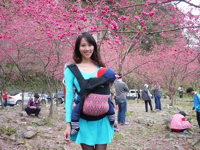 【宜蘭景點】安貴妃拜年♥ 宜蘭三星米香銀柳節♥大同鄉秘境牛鬥賞櫻 ♥