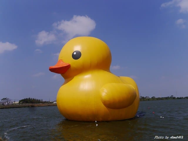 29.JPG